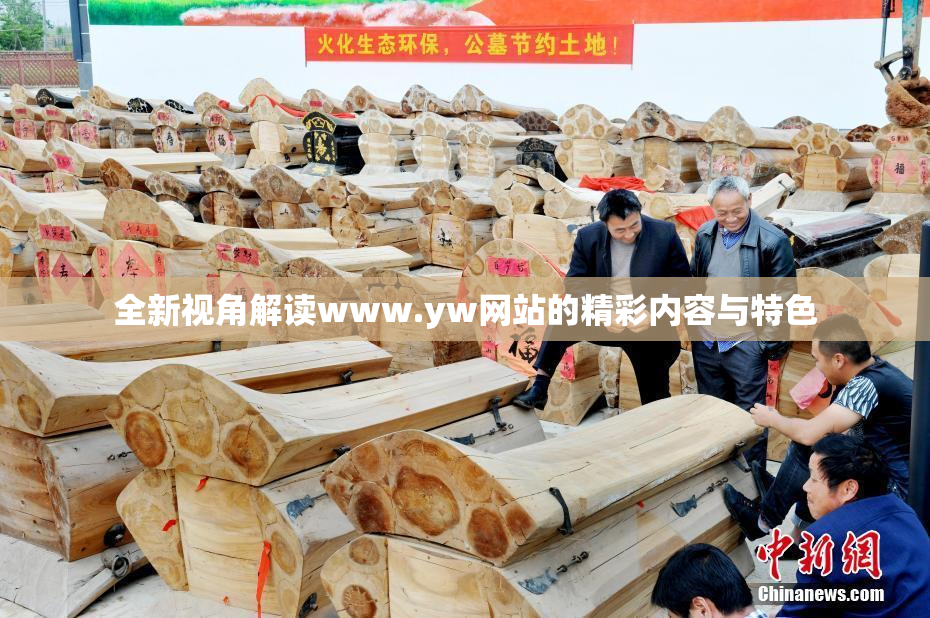 全新视角解读www.yw网站的精彩内容与特色