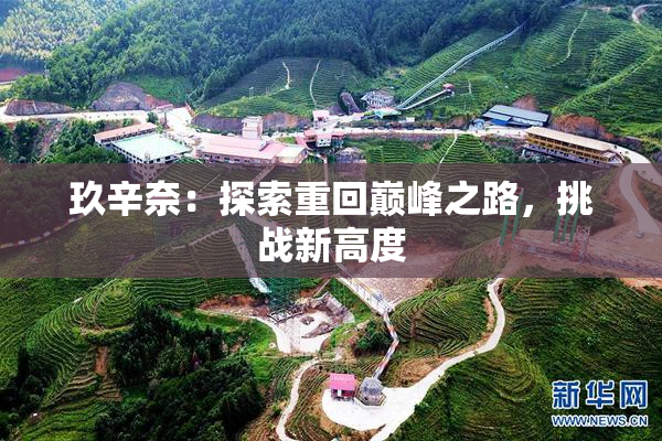 玖辛奈：探索重回巅峰之路，挑战新高度