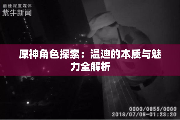 原神角色探索：温迪的本质与魅力全解析