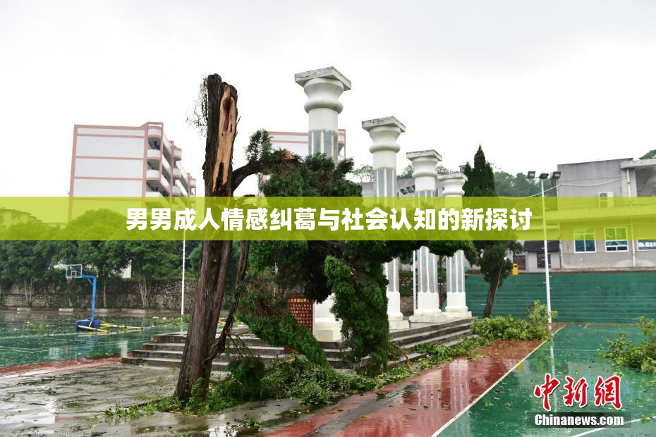 男男成人情感纠葛与社会认知的新探讨