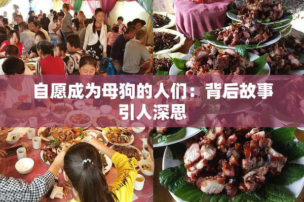 自愿成为母狗的人们：背后故事引人深思