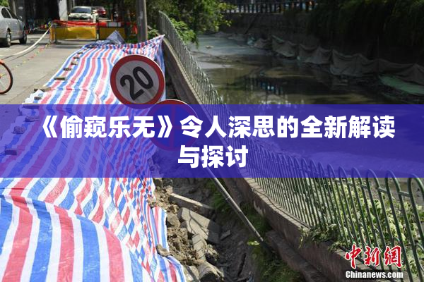 《偷窥乐无》令人深思的全新解读与探讨