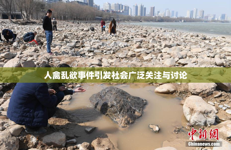 人禽乱欲事件引发社会广泛关注与讨论