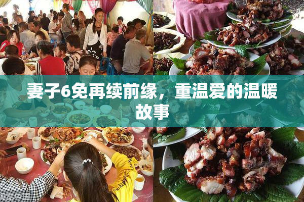 妻子6免再续前缘，重温爱的温暖故事