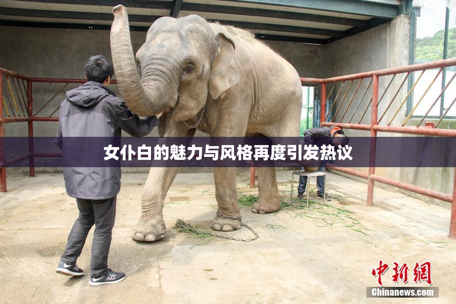 女仆白的魅力与风格再度引发热议