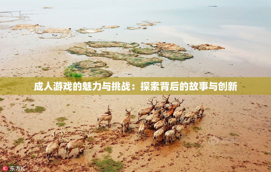 成人游戏的魅力与挑战：探索背后的故事与创新
