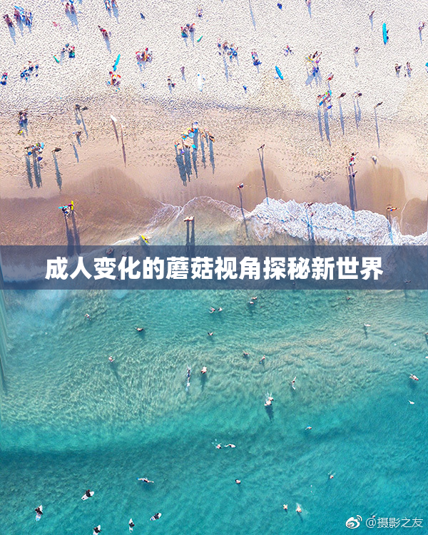 成人变化的蘑菇视角探秘新世界