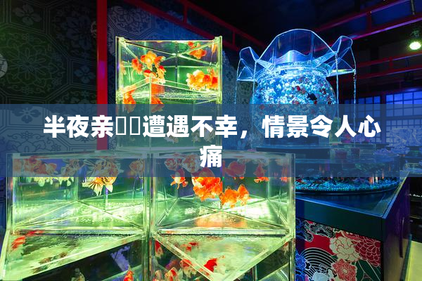 半夜亲妺妺遭遇不幸，情景令人心痛