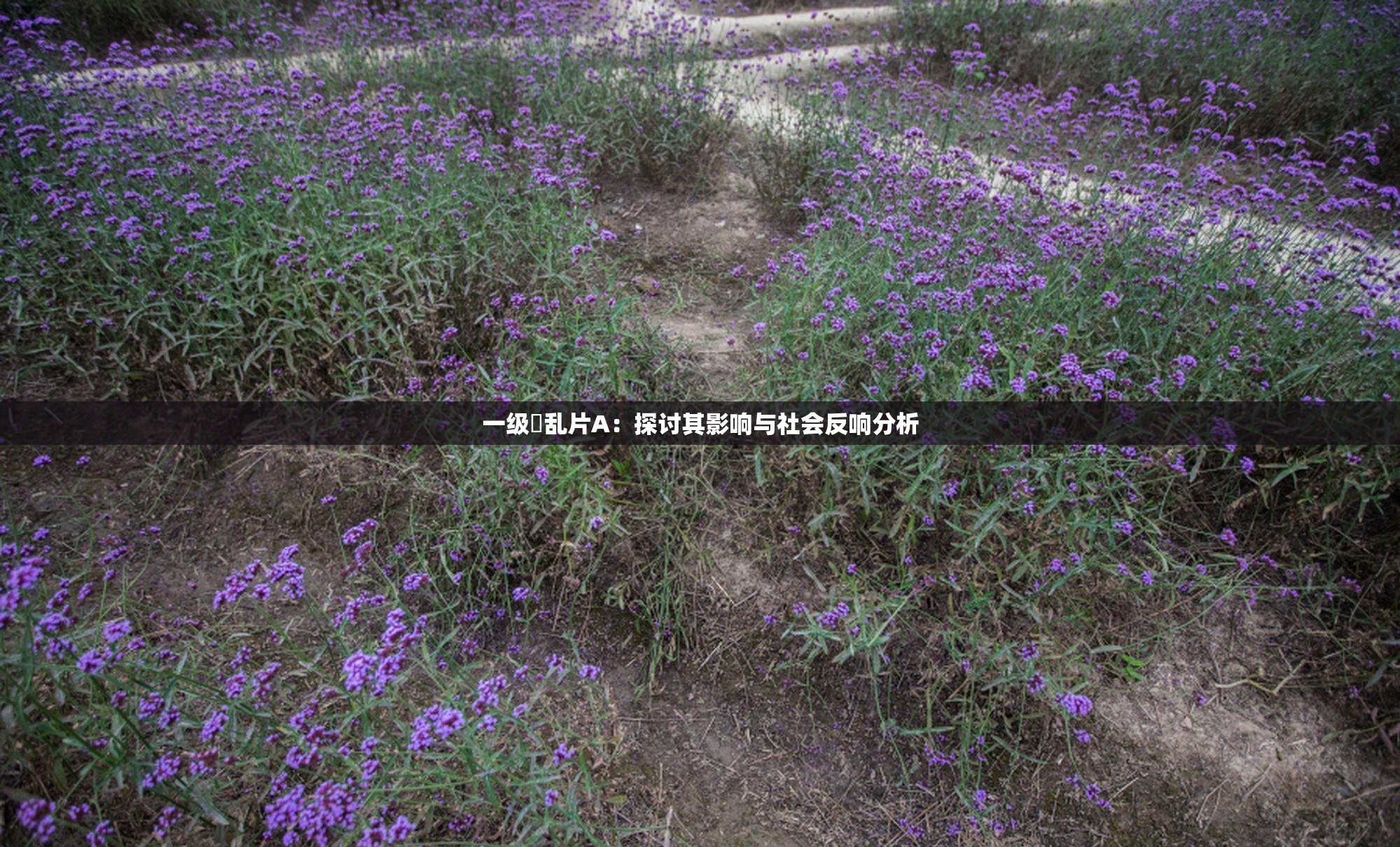 一级婬乱片A:探讨其影响与社会反响分析