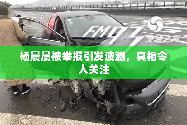杨晨晨被举报引发波澜,真相令人关注