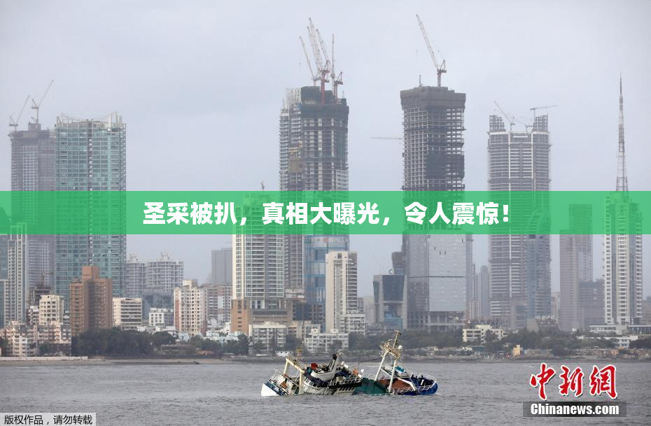 圣采被扒，真相大曝光，令人震惊！