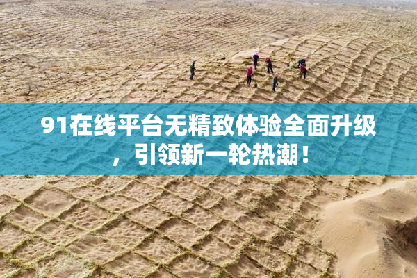 91在线平台无精致体验全面升级，引领新一轮热潮！