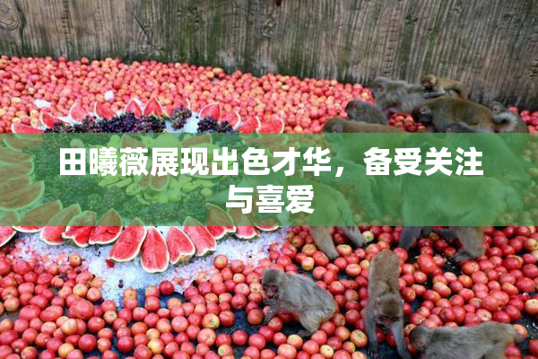 田曦薇展现出色才华，备受关注与喜爱