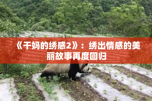 《干妈的绣感2》:绣出情感的美丽故事再度回归