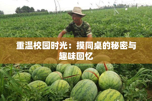 重温校园时光：摸同桌的秘密与趣味回忆