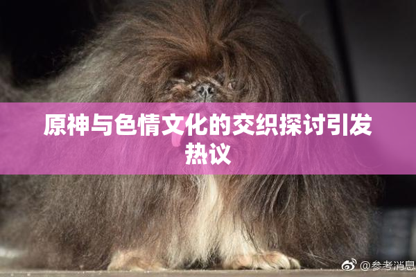 原神与色情文化的交织探讨引发热议