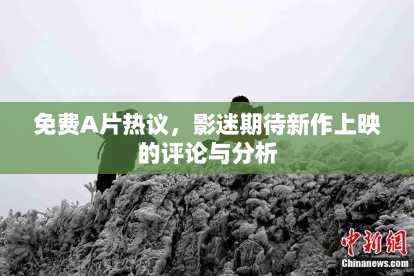 免费A片热议,影迷期待新作上映的评论与分析