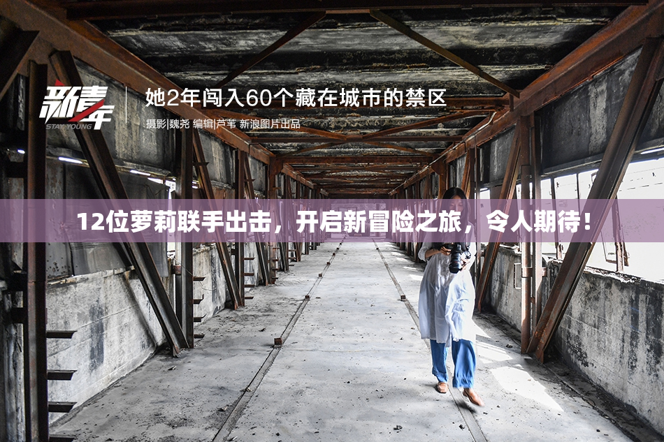 12位萝莉联手出击，开启新冒险之旅，令人期待！