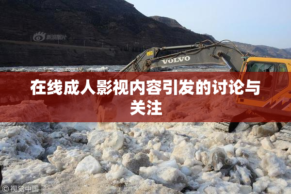 在线成人影视内容引发的讨论与关注