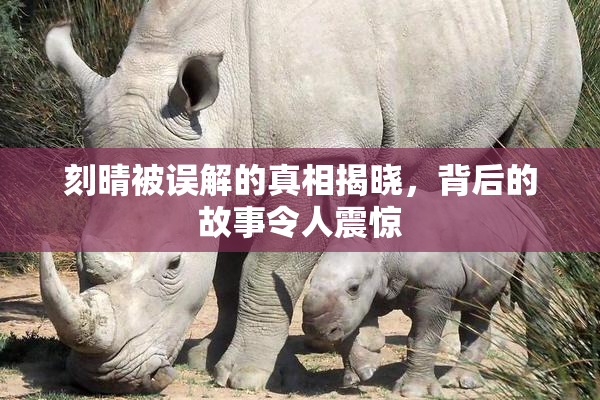 刻晴被误解的真相揭晓,背后的故事令人震惊