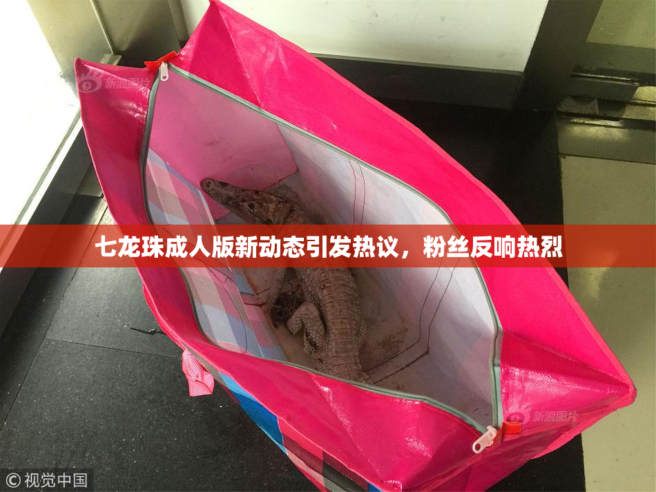 七龙珠成人版新动态引发热议,粉丝反响热烈