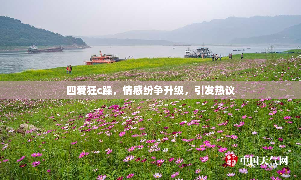 四爱狂c躁,情感纷争升级,引发热议