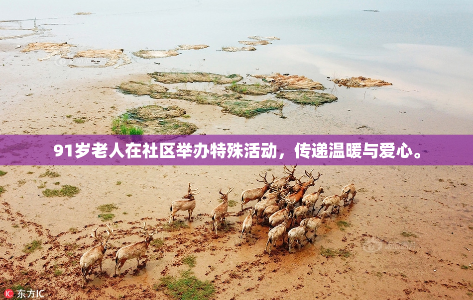 91岁老人在社区举办特殊活动,传递温暖与爱心。