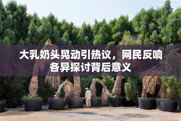 大乳奶头晃动引热议,网民反响各异探讨背后意义