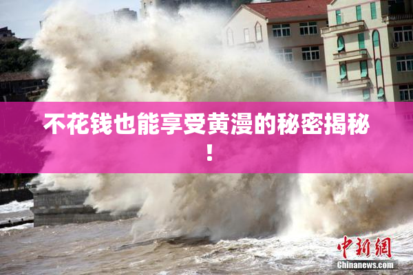 不花钱也能享受黄漫的秘密揭秘!