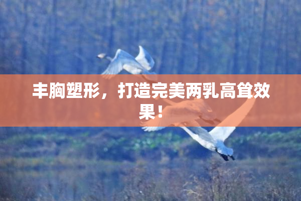 丰胸塑形，打造完美两乳高耸效果！
