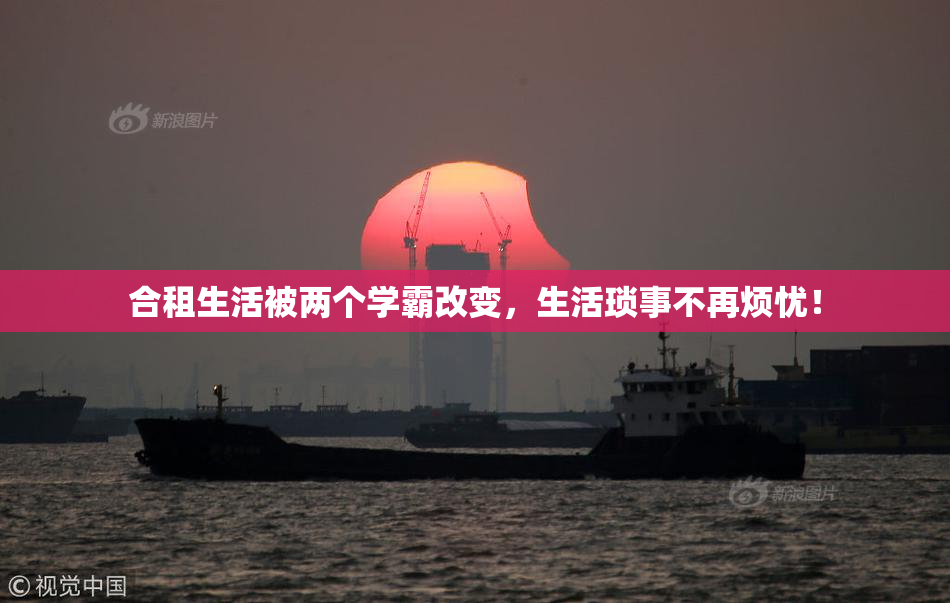 合租生活被两个学霸改变,生活琐事不再烦忧!