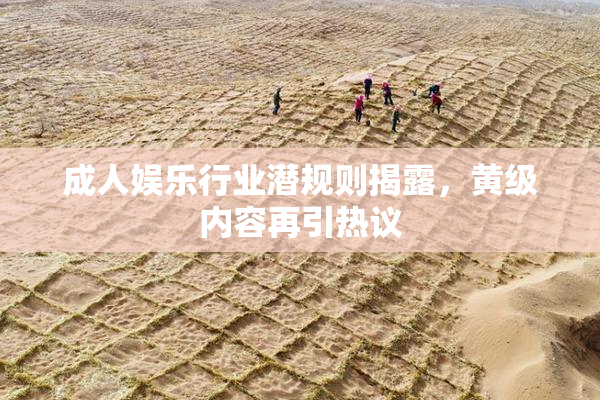 成人娱乐行业潜规则揭露,黄级内容再引热议