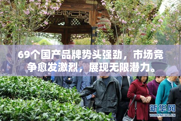 69个国产品牌势头强劲,市场竞争愈发激烈,展现无限潜力。