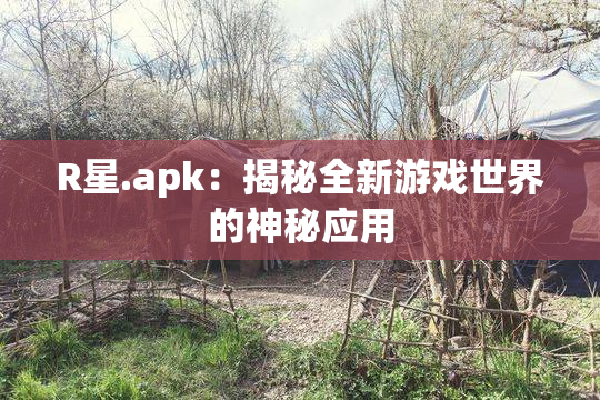 R星.apk:揭秘全新游戏世界的神秘应用