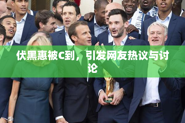 伏黑惠被C到，引发网友热议与讨论
