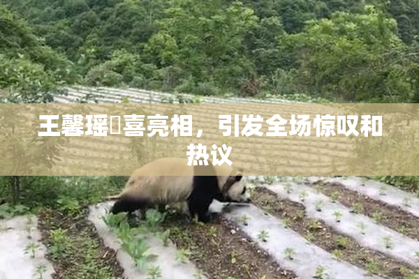 王馨瑶驚喜亮相,引发全场惊叹和热议
