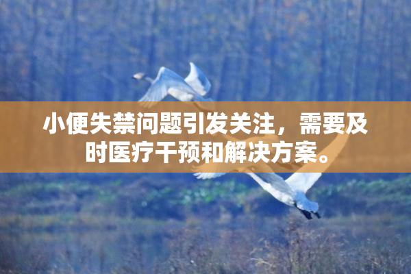 小便失禁问题引发关注,需要及时医疗干预和解决方案。