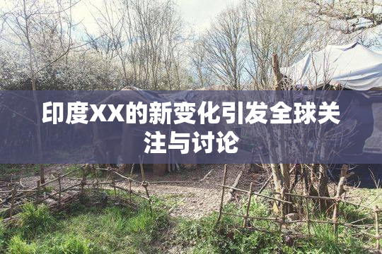 印度XX的新变化引发全球关注与讨论