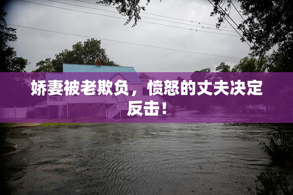娇妻被老欺负，愤怒的丈夫决定反击！