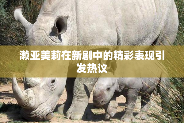 濑亚美莉在新剧中的精彩表现引发热议