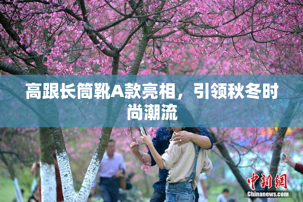 高跟长筒靴A款亮相，引领秋冬时尚潮流