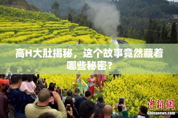 高H大肚揭秘，这个故事竟然藏着哪些秘密？
