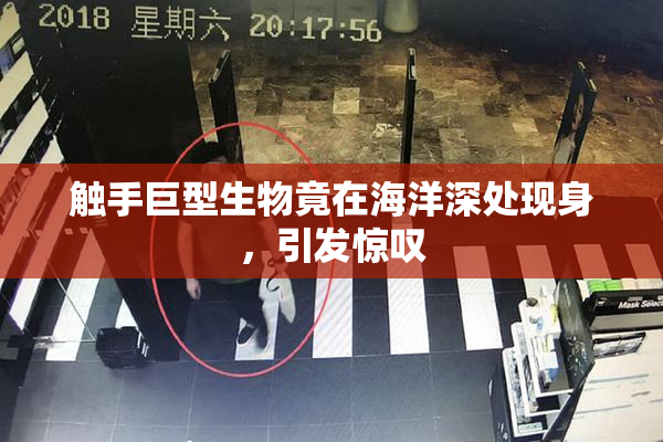 触手巨型生物竟在海洋深处现身，引发惊叹