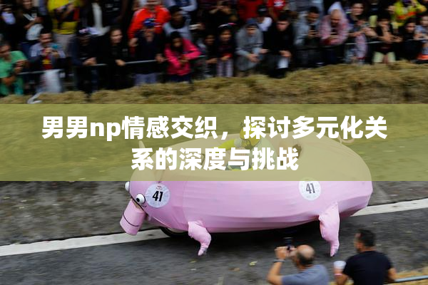 男男np情感交织，探讨多元化关系的深度与挑战