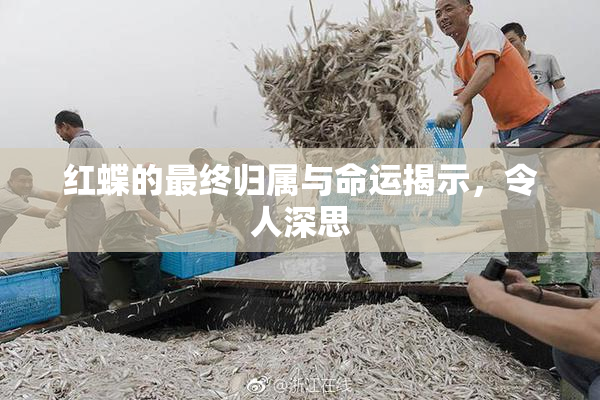 红蝶的最终归属与命运揭示，令人深思
