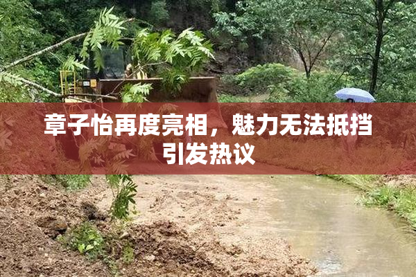 章子怡再度亮相，魅力无法抵挡引发热议
