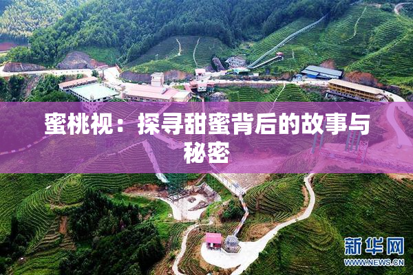 蜜桃视：探寻甜蜜背后的故事与秘密