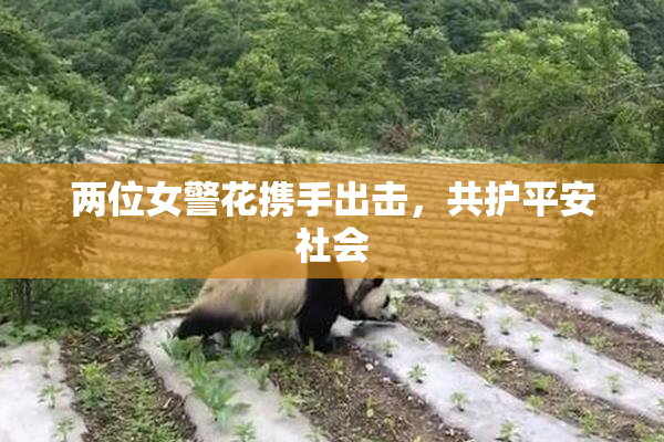 两位女警花携手出击，共护平安社会