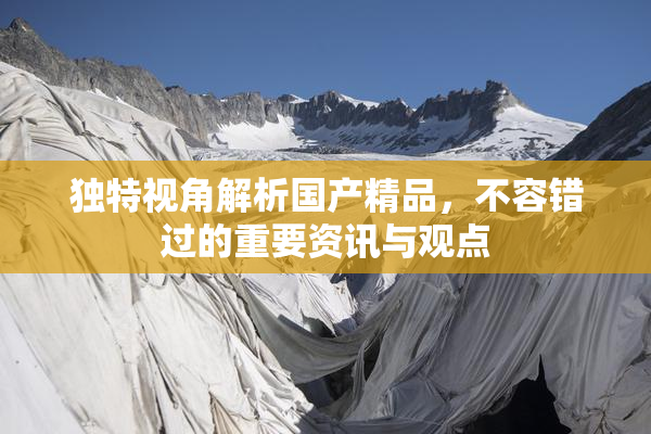 独特视角解析国产精品，不容错过的重要资讯与观点