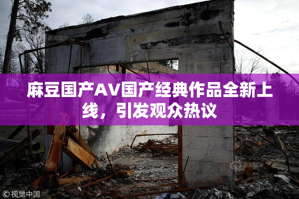 麻豆国产AV国产经典作品全新上线，引发观众热议